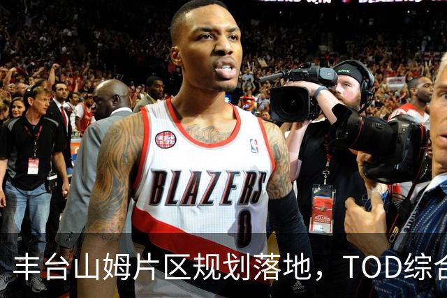 丰台山姆片区规划落地，TOD综合体地铁直达