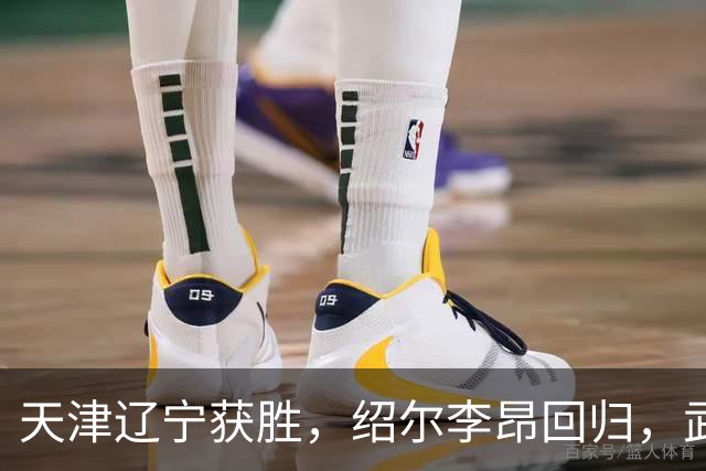 天津辽宁获胜，绍尔李昂回归，武汉三镇明晚战申花力争续命