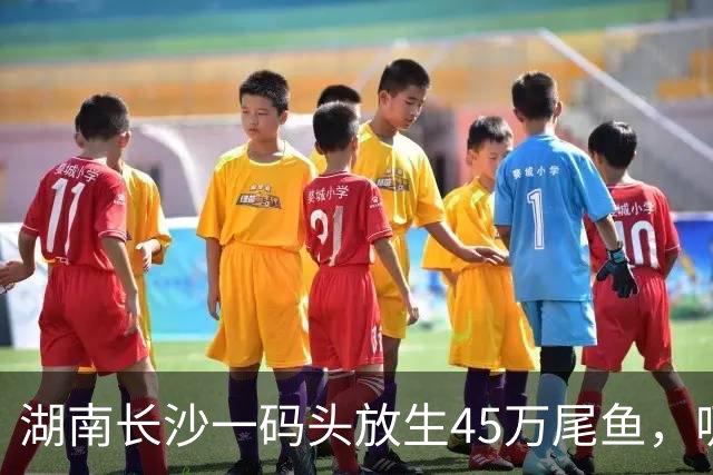 湖南长沙一码头放生45万尾鱼，吸引大量钓友扎堆；官方回应：禁渔但不禁钓，呼吁各位钓友，合理合规休闲垂钓