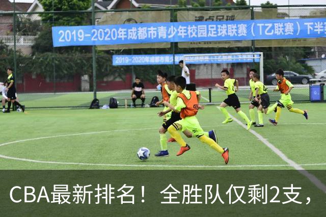 CBA最新排名！全胜队仅剩2支，辽宁北京抢第1，广东回前8，深圳青岛成倒数